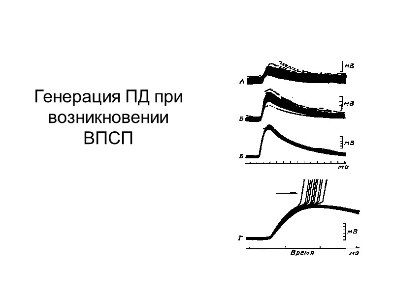 Генерация ПД при возникновении ВПСП